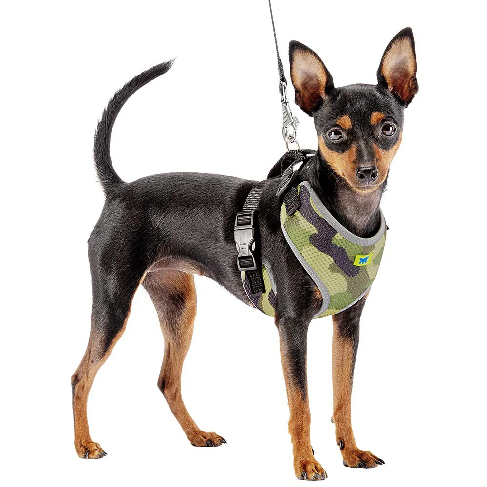 Arnés técnico para Perros Nikita Fashion - Imagen 5