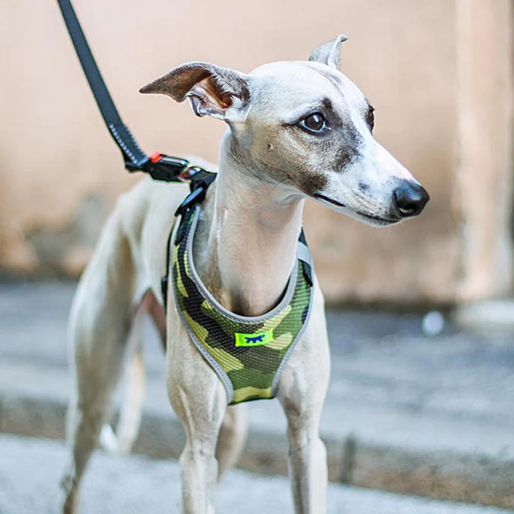 Arnés técnico para Perros Nikita Fashion - Imagen 6