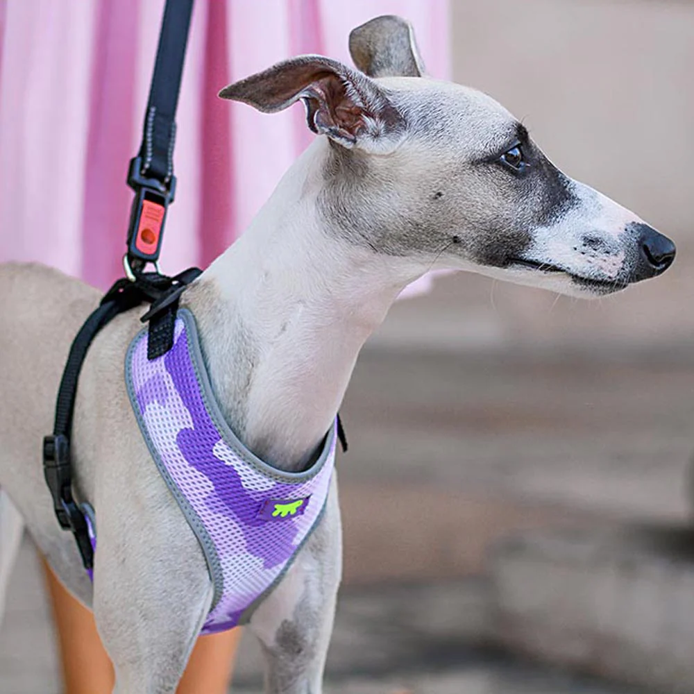 Arnés técnico para Perros Nikita Fashion - Imagen 7