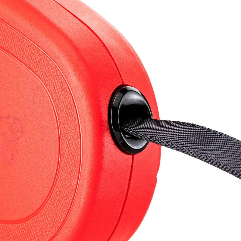 Correa extensible con cinta Flippy - Imagen 2