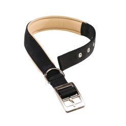 Collar de nylon para perro Daytona