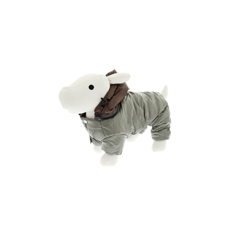 Saco Impermeable Cool Dog - Imagen 2