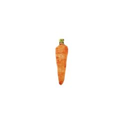 Carota Matatabi 14X6Cm