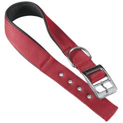 Collar para perros Daytona C