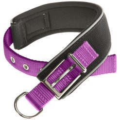 Collar para perros Daytona Confort