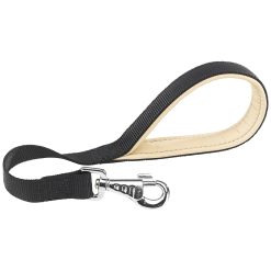 Correa perros Daytona GM Lead