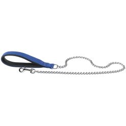 Correa perros Daytona GM