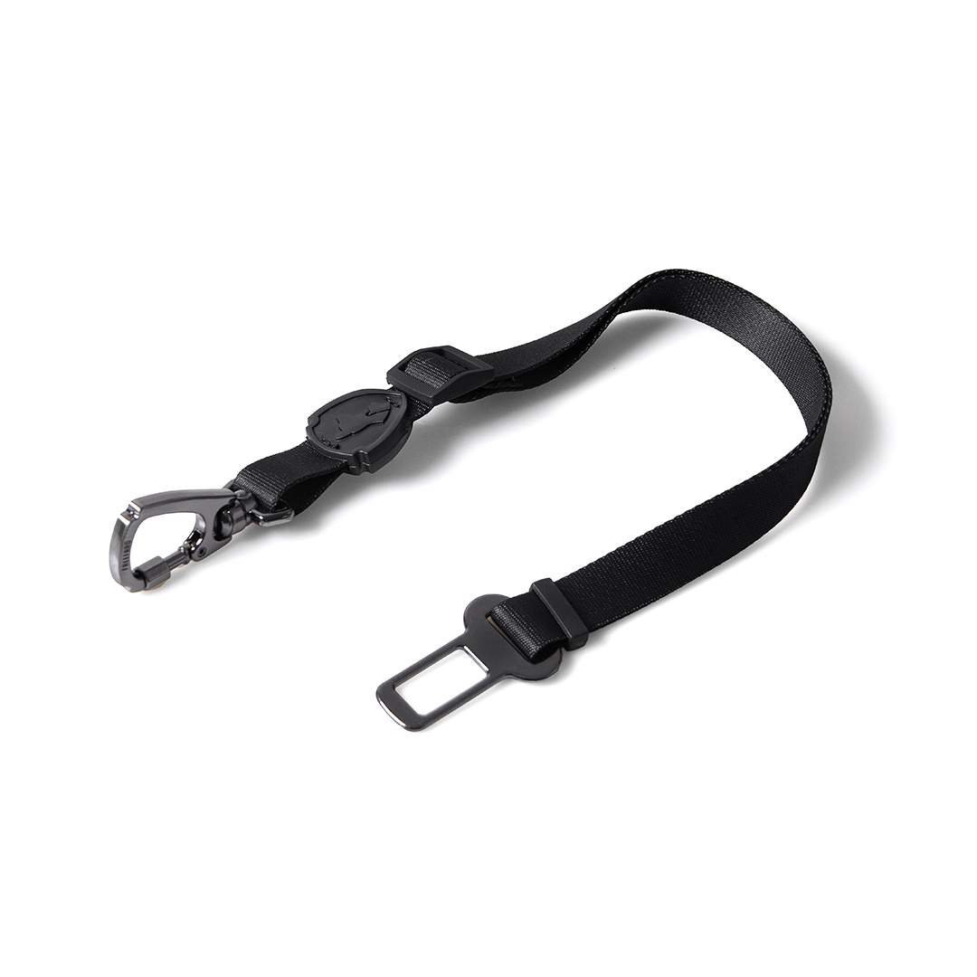 CINTURÓN DE SEGURIDAD DARKEST