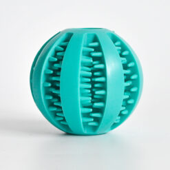 PELOTA DENTAL TPR L TURQUESA