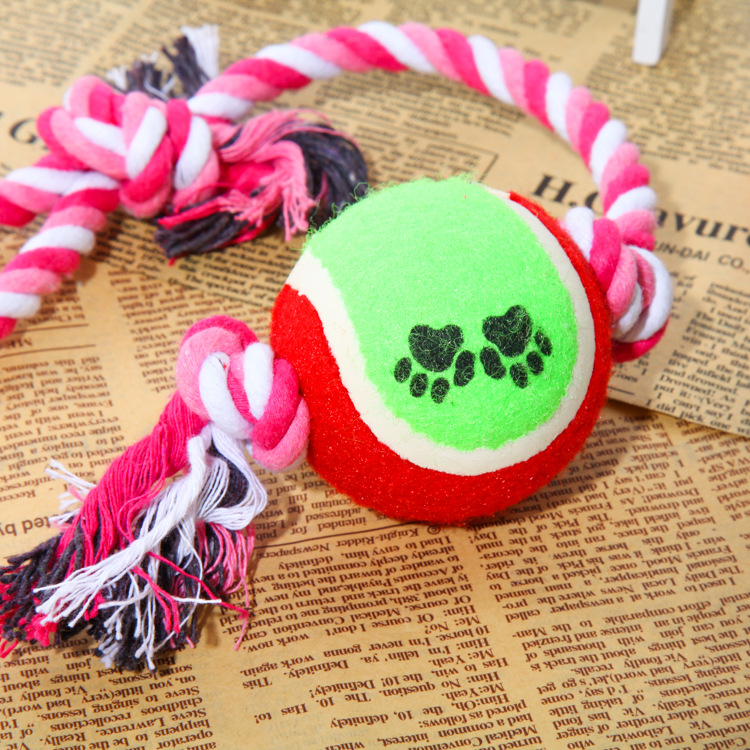 CUERDA CON PELOTA DE TENIS - Imagen 2